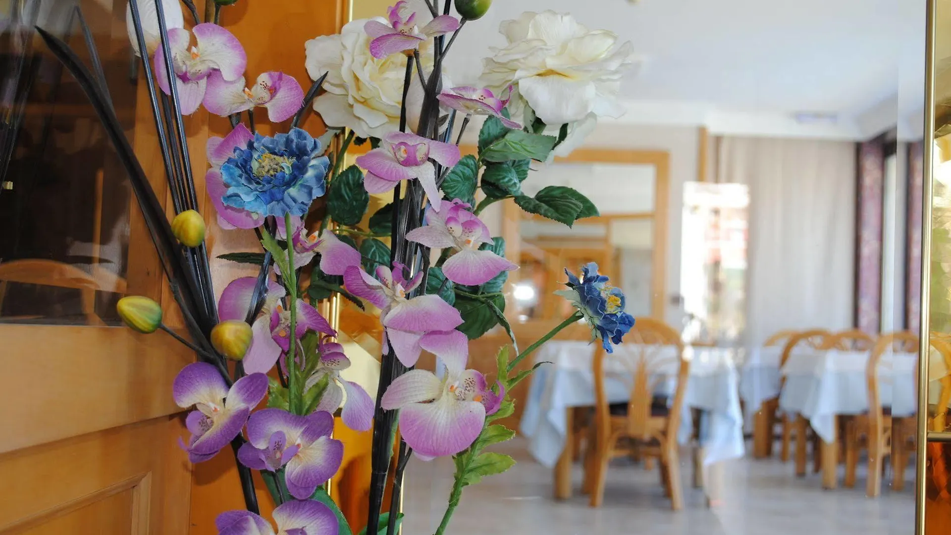 Bonsol Hotel Lloret de Mar